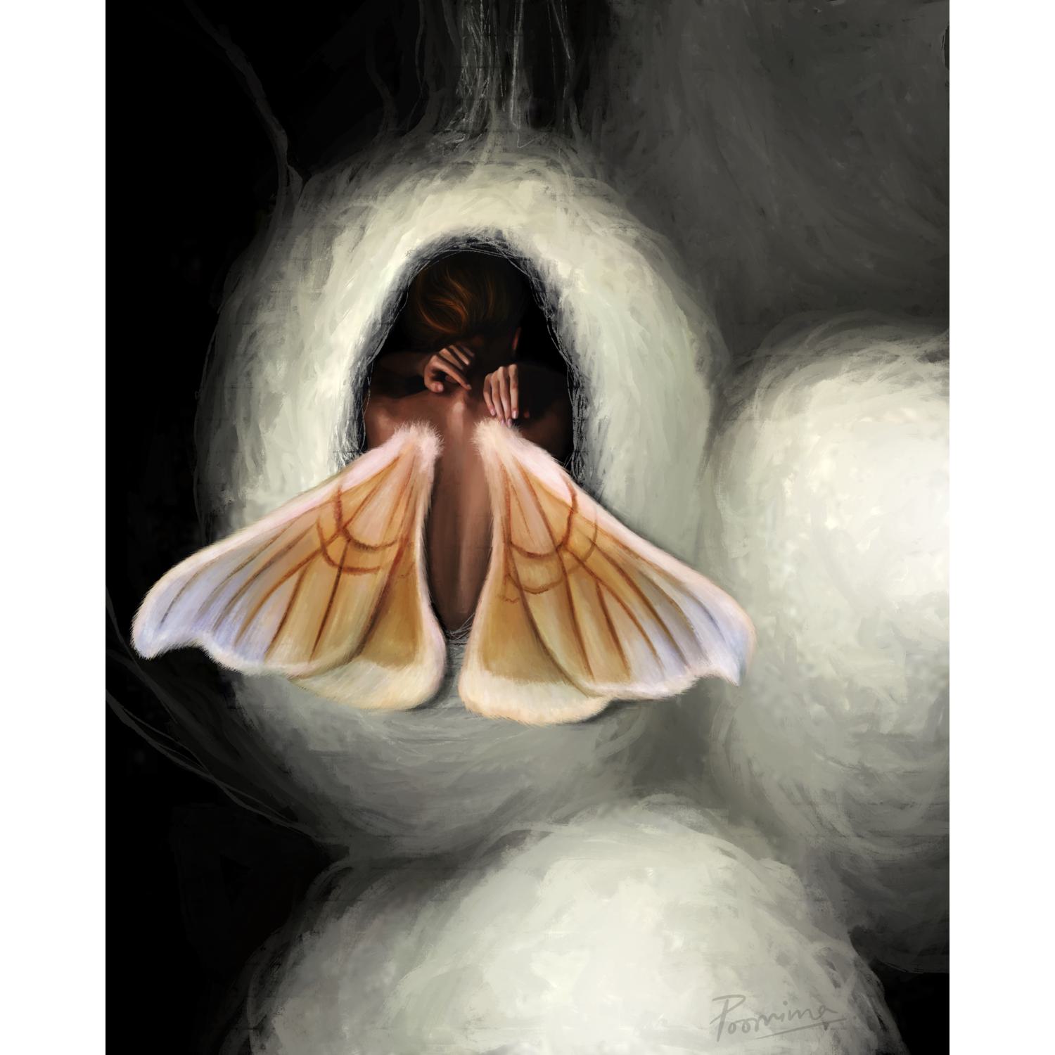 Metamorphosis