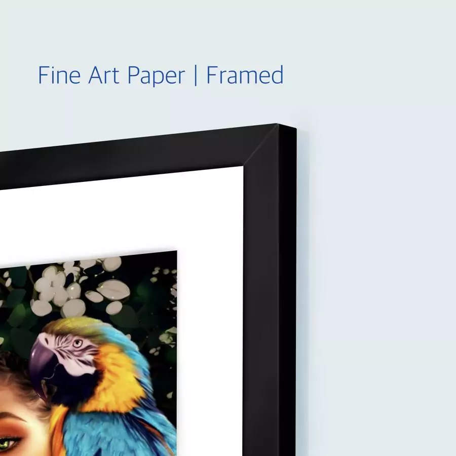 Framed Fine Art Paper Print