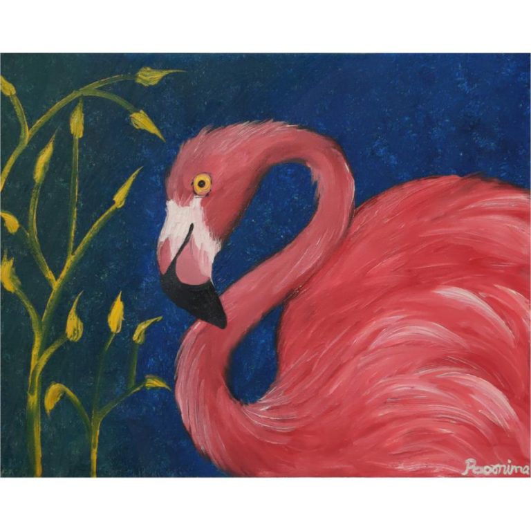 Flamingo