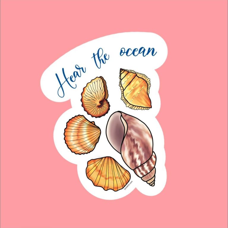 Sea Shell Sticker