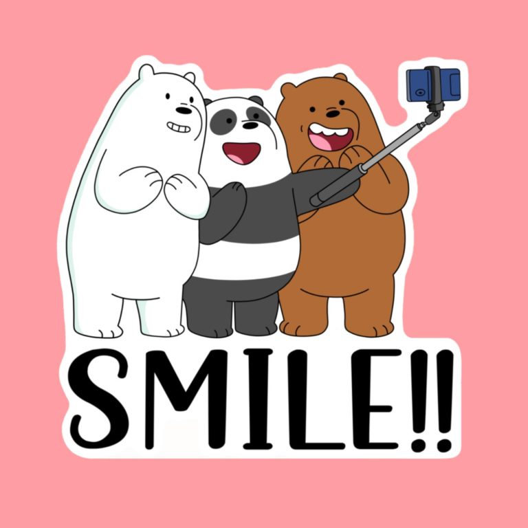 We Bare Bears I - Laptop Sticker