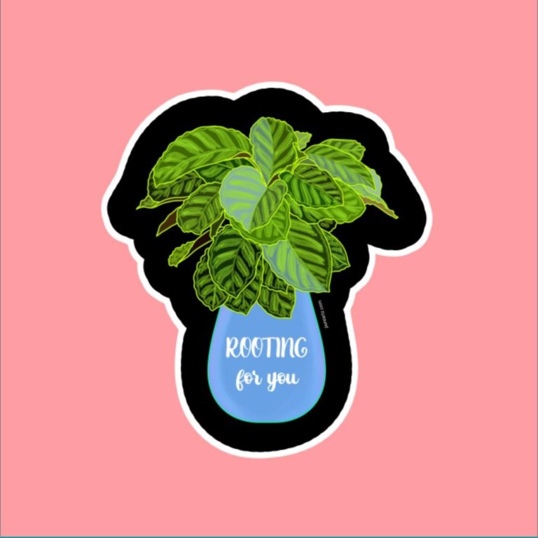 Calathea Sticker
